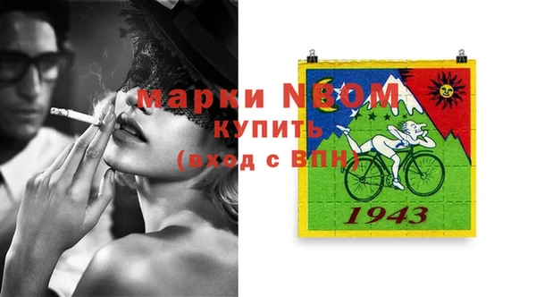 ПСИЛОЦИБИНОВЫЕ ГРИБЫ Горно-Алтайск