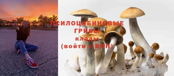 ешки Весьегонск