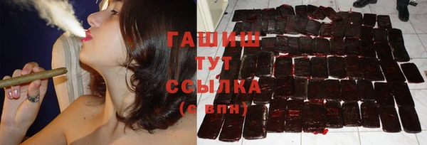 ПСИЛОЦИБИНОВЫЕ ГРИБЫ Горно-Алтайск