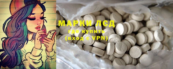 ПСИЛОЦИБИНОВЫЕ ГРИБЫ Горно-Алтайск