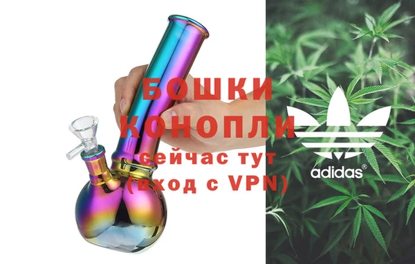 ПСИЛОЦИБИНОВЫЕ ГРИБЫ Горно-Алтайск