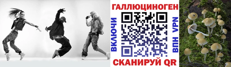 Псилоцибиновые грибы Cubensis  Егорьевск 
